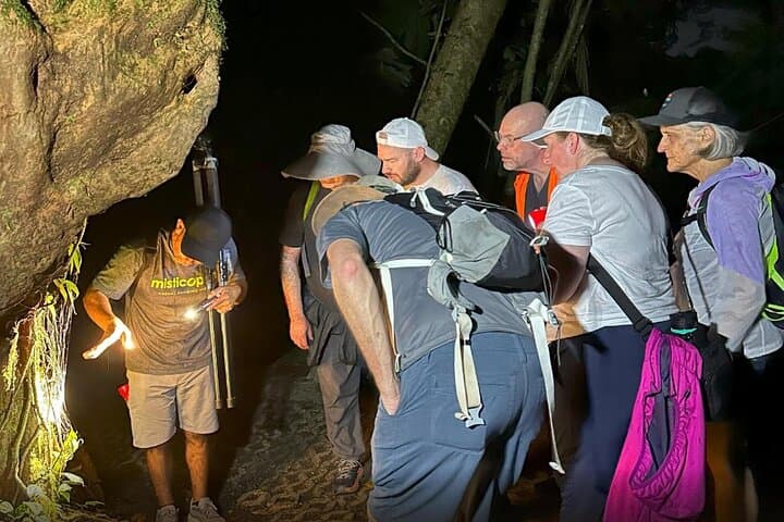Night Hike at Mistico Arenal Hanging Bridges: La Fortuna’s Tropical After-Dark Adventure photo 3