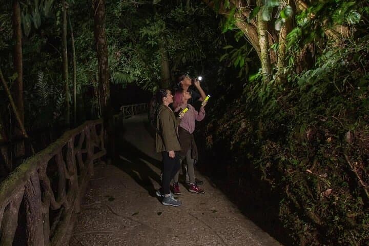 Night Hike at Mistico Arenal Hanging Bridges: La Fortuna’s Tropical After-Dark Adventure photo 4