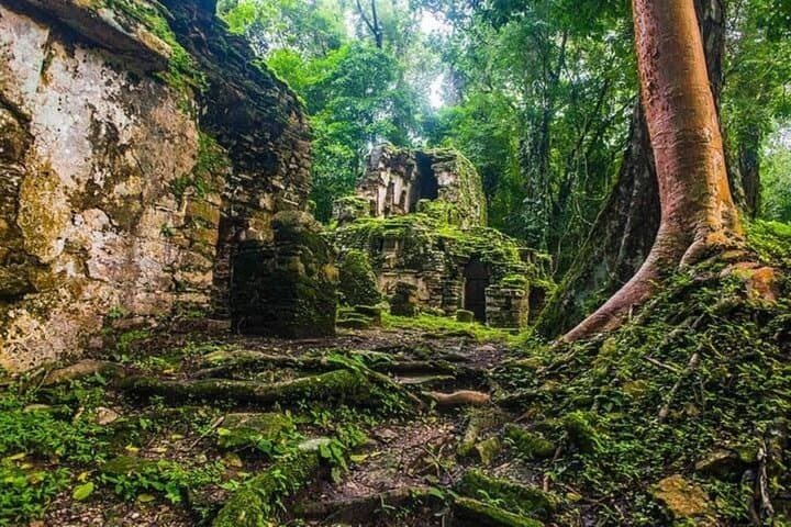 Bonampak and Yaxchilan Day Tour: Explore Maya Murals and River Temples photo 4