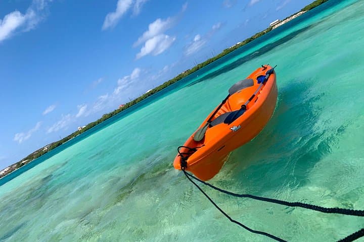 Clear Kayak North Creek Tour — Grand Turk Mangroves & Shipwrecks photo 4