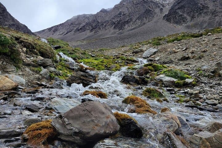 Martial Glacier Trek: 5-Hour Guided Hike from Ushuaia photo 6