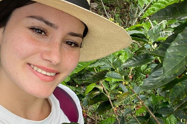 Private Coffee Axis Tour — Personalized Guide in Pereira