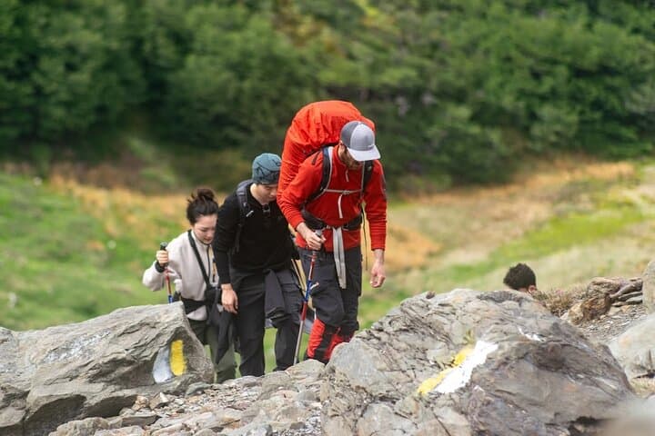 Trekking Vinciguerra Glacier & Témpanos Lagoon — Full-Day Hike from Ushuaia photo 6
