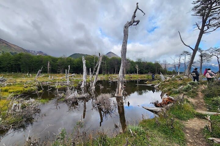 Laguna Esmeralda Trek from Ushuaia: Hiking to the Emerald Lagoon photo 5