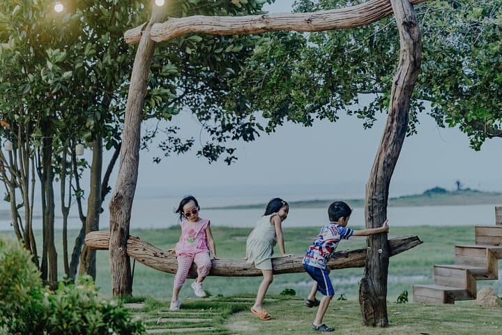 Ma Da Forest Trek and Tri An Lake Paddleboarding: Day Trip from Ho Chi Minh City