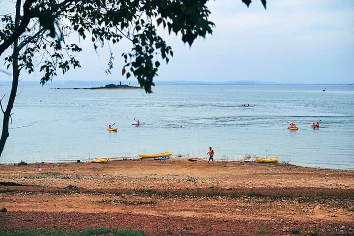 Ma Da Forest Trek and Tri An Lake Paddleboarding: Day Trip from Ho Chi Minh City photo 3
