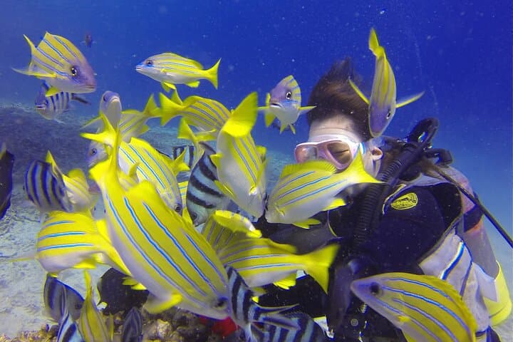 Private Blue Cave Diving Tour in Onna, Okinawa — Guided Boat Dive with 4K Photos photo 2