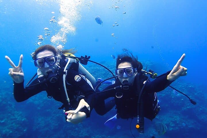 Private Blue Cave Diving Tour in Onna, Okinawa — Guided Boat Dive with 4K Photos photo 4