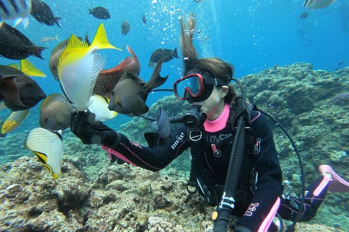 Private Blue Cave Diving Tour in Onna, Okinawa — Guided Boat Dive with 4K Photos photo 6