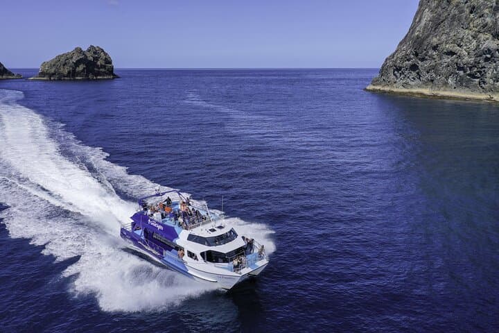 Full-Day Bay of Islands Cruise: Cream Trip, Otehei Bay & Hole in the Rock