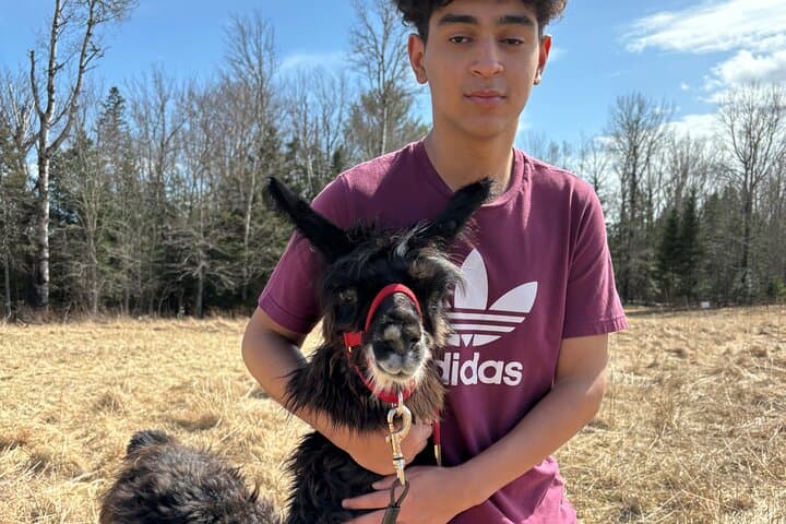 Hike & Lunch with Llamas at Dancing Goat Therapy Farm, Fredericton photo 2