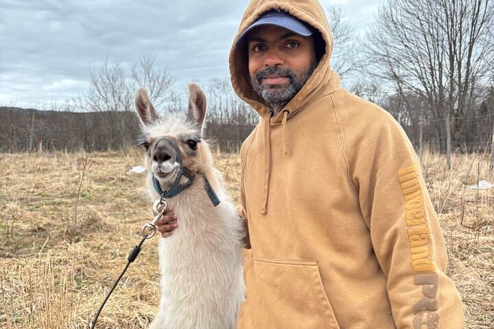Hike & Lunch with Llamas at Dancing Goat Therapy Farm, Fredericton photo 3