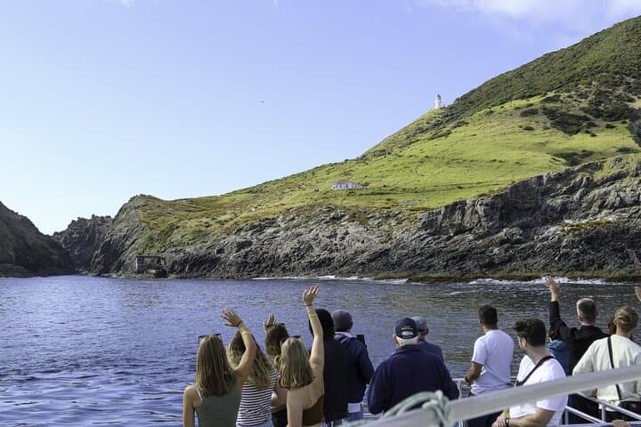 Full-Day Bay of Islands Cruise: Cream Trip, Otehei Bay & Hole in the Rock photo 3