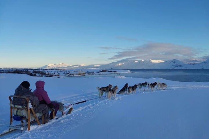Husky Dog Sledding near Akureyri: Fjord-Side Winter Sled Tours photo 2