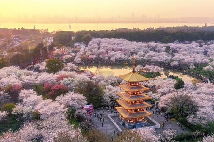 Wuhan Day Tour: Yellow Crane Tower, Donghu (East Lake) & Moshan Cable Car