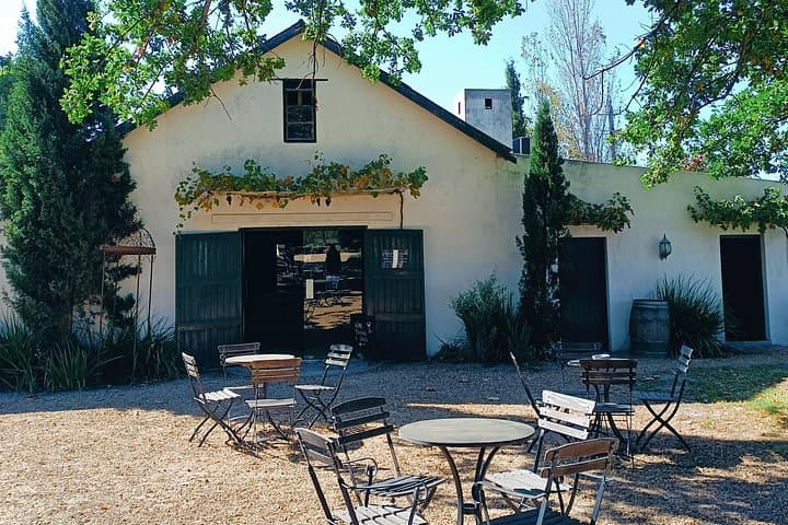 Stellenbosch Private Wine Tour: Full-Day Tasting of Cape Winelands Estates photo 3