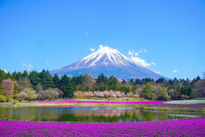 Day Trip from Tokyo: Mount Fuji & Hakone Private Sightseeing Tour