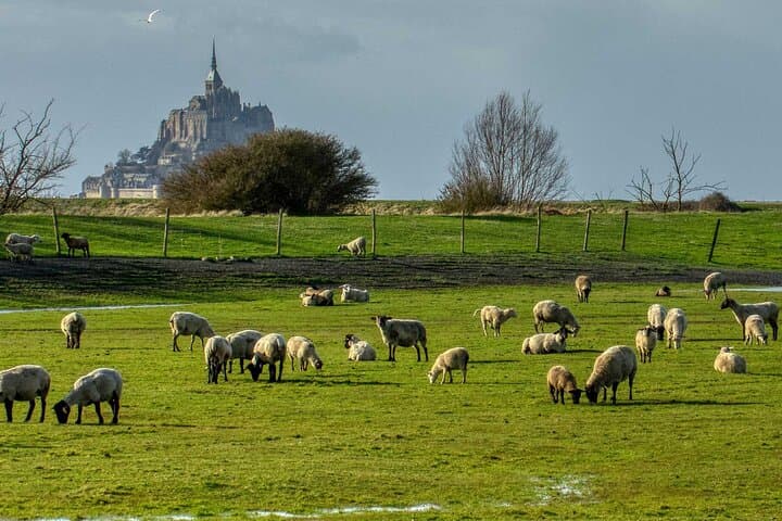 Mont-Saint-Michel Day Trip from Rennes — Private Driver, Abbey & Bay Walk