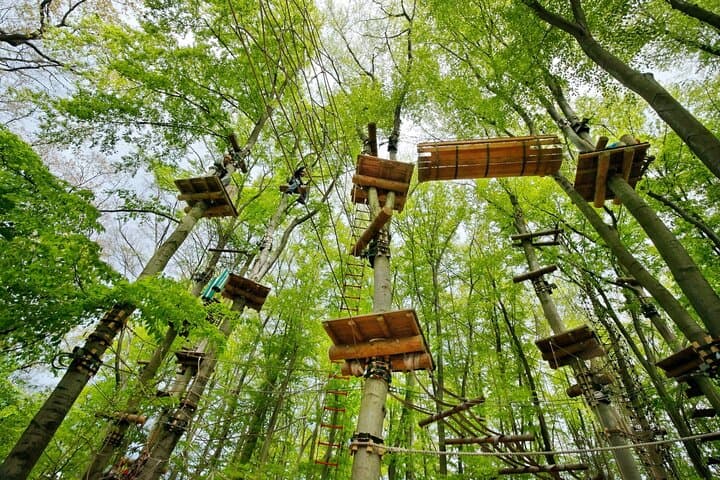 AbenteuerPark Potsdam: 2-Hour High-Ropes & Zip Line Adventure