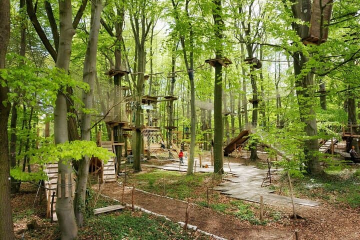 AbenteuerPark Potsdam: 2-Hour High-Ropes & Zip Line Adventure photo 3