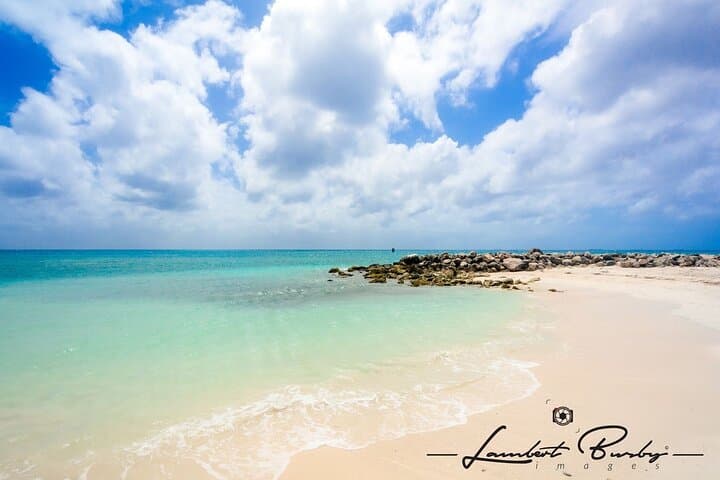 Half-Day Private Aruba Tour: California Lighthouse, Natural Bridge & Aloe Farm photo 2
