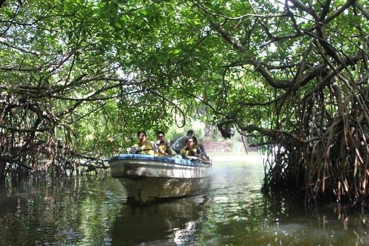Discover Sri Lanka: An All-Inclusive 9-Day Adventure photo 3