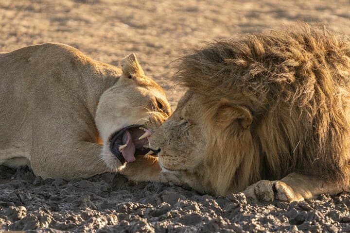 Serengeti Big 5: 12-Day Wildlife Photography Safari & Migration Expedition photo 2