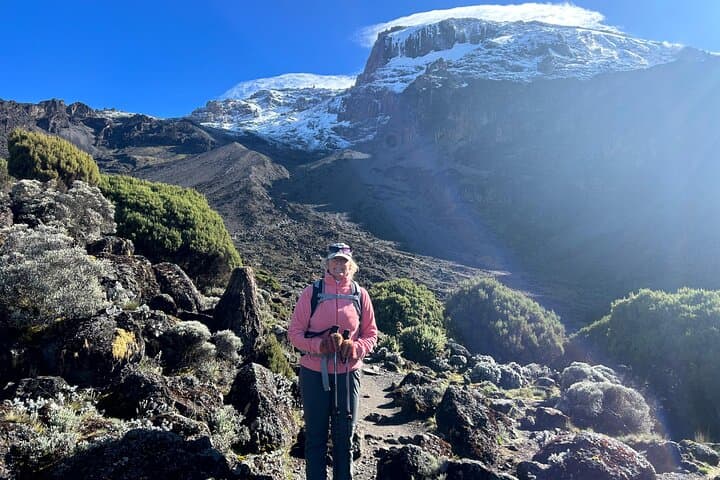 Machame Route Kilimanjaro: 6-Day Climb from Moshi to Uhuru Peak photo 5