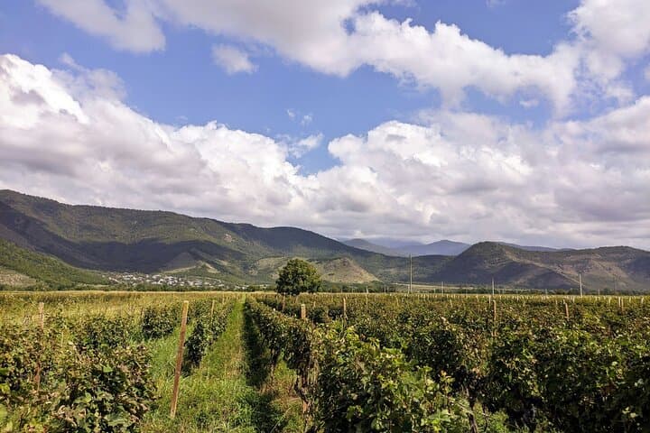 Racha Road Trip: Tskhrajvari Summit, Nakerala Pass & Racha Winery Tasting from Kutaisi photo 5