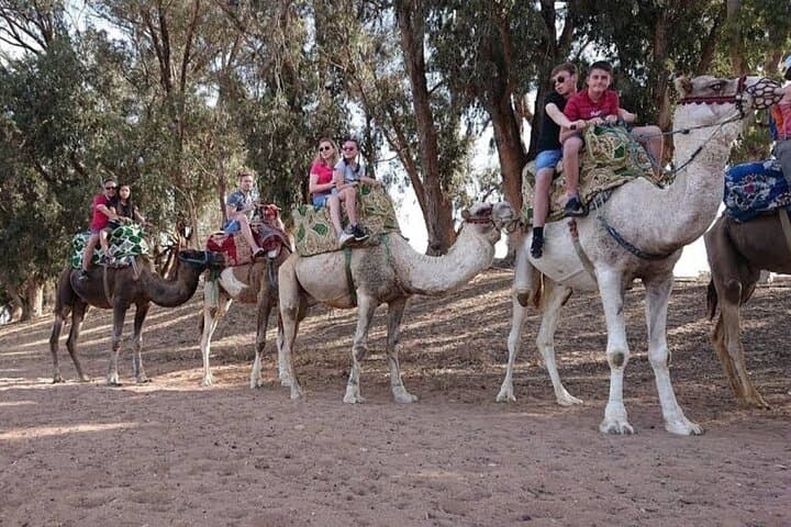 Agadir Sunset Quad Biking & Camel Ride with BBQ: Half-Day Adventure photo 4
