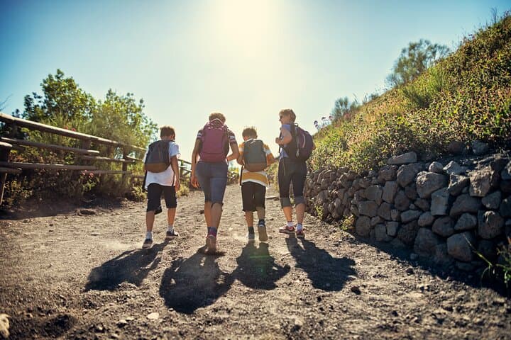 Hike Mt Vesuvius and Explore Pompeii: Day Tour from Naples with Lunch & Wine photo 3