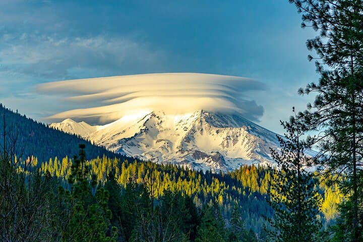 Mount Shasta Guided Tour: Headwaters, Power Spots & Native History