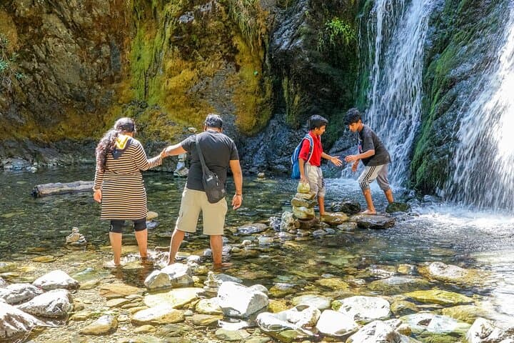 Half-Day Mount Shasta Tour: Faery Falls, Castle Lake & Bunny Flat