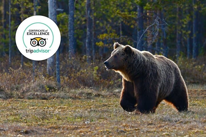 Banff Highlights & Wildlife Small-Group Tour — Lake Minnewanka, Mount Norquay & Bow Falls photo 2