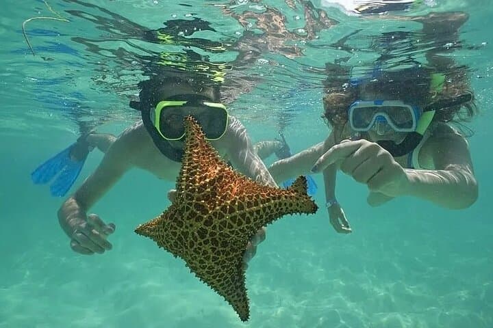 Saona Island Day Trip from Punta Cana — Natural Pool, Catamaran & Beach Buffet photo 6