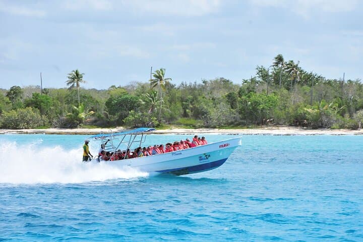 Saona Island Day Trip from Punta Cana — Natural Pool, Catamaran & Beach Buffet photo 4