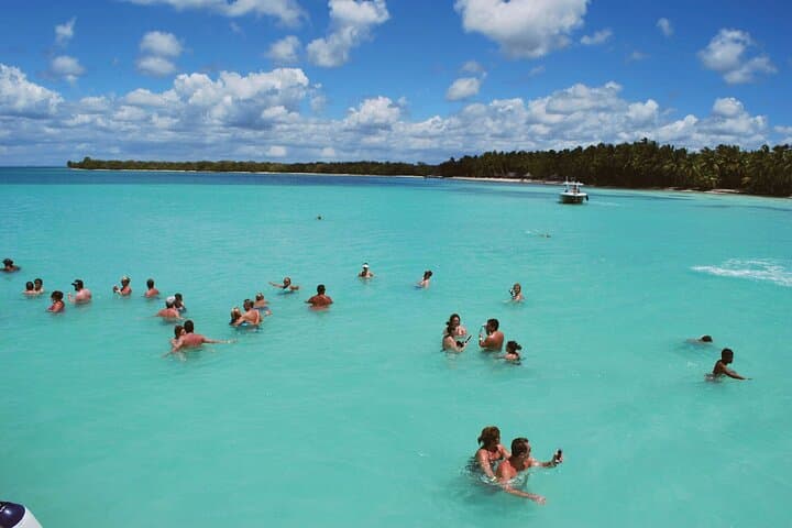 Saona Island Day Trip from Punta Cana — Natural Pool, Catamaran & Beach Buffet photo 3