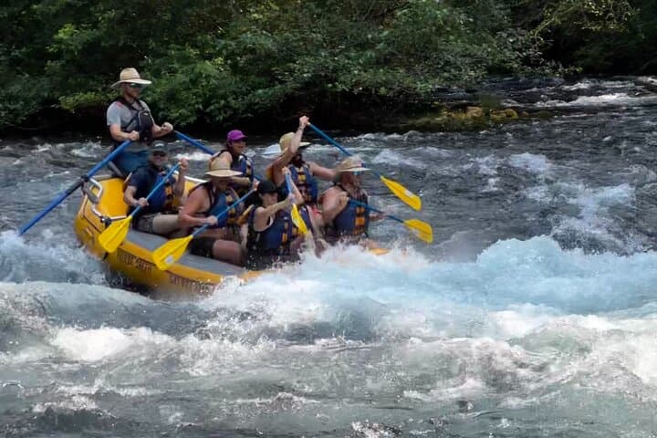 McKenzie River Whitewater Rafting: Class II–III Adventure Near Eugene, OR photo 2