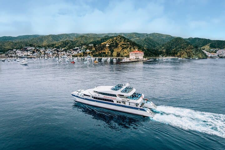 Crossing to Catalina Island: The Essential San Pedro to Avalon Ferry Experience