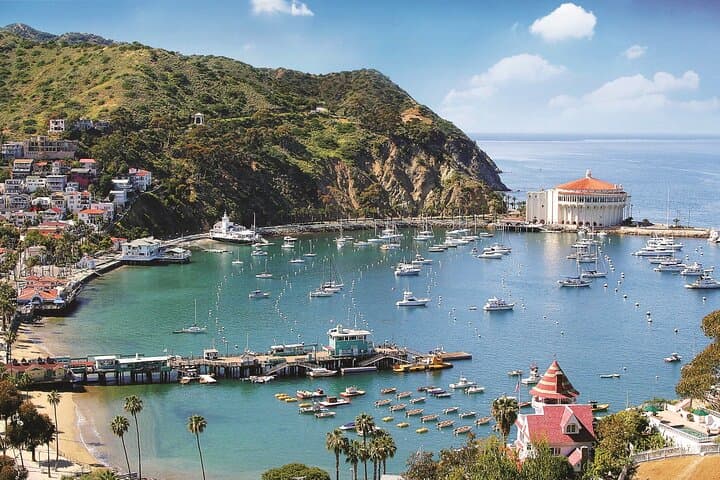 Crossing to Catalina Island: The Essential San Pedro to Avalon Ferry Experience photo 5