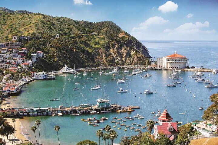 Avalon to San Pedro: Catalina Express One-Way Ferry Across the Pacific photo 4
