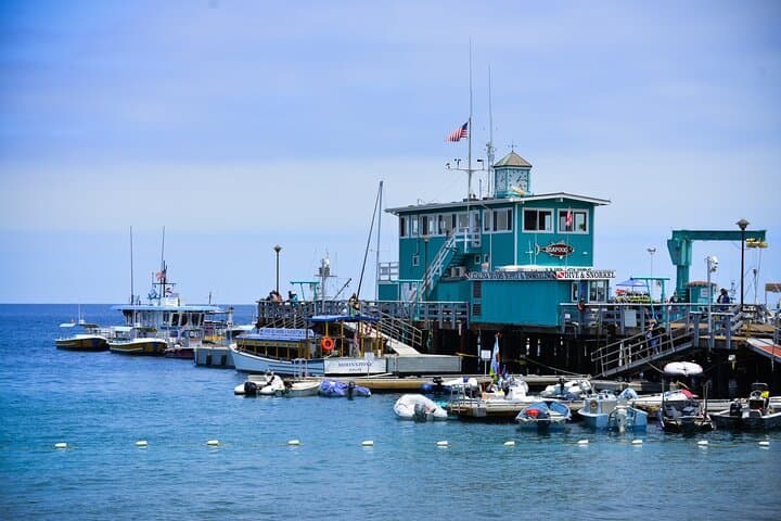 Avalon to San Pedro: Catalina Express One-Way Ferry Across the Pacific photo 5