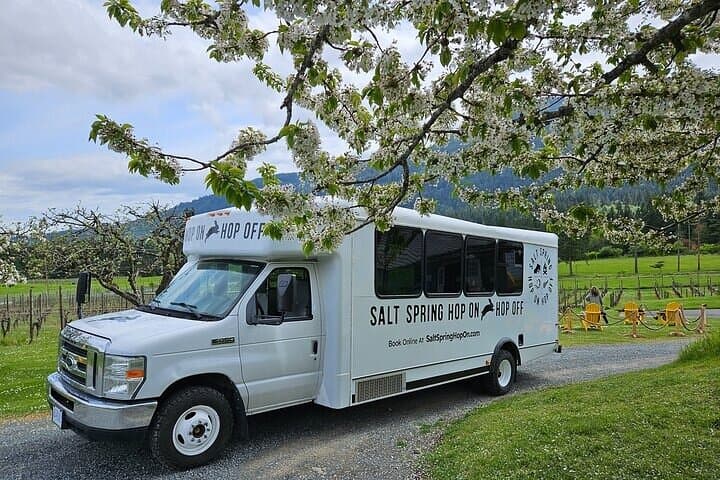 Salt Spring Island Artisan Trail Hop-On Hop-Off: Cheese, Lavender & Cider Loop photo 2