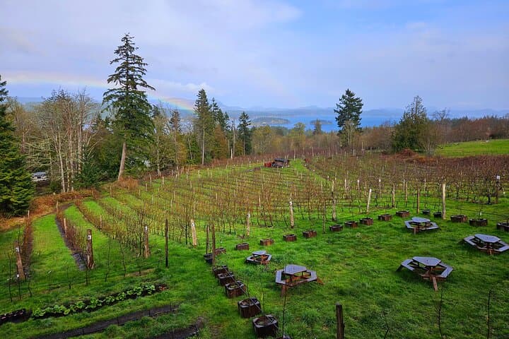 Salt Spring Island Artisan Trail Hop-On Hop-Off: Cheese, Lavender & Cider Loop photo 5