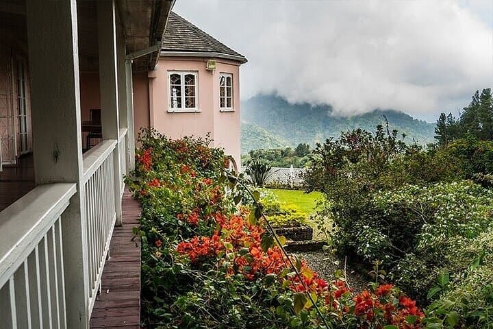 Blue Mountain Coffee, Bob Marley & Art Day Tour from Montego Bay photo 4