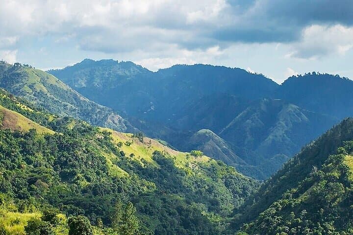 Blue Mountain Coffee, Bob Marley & Art Day Tour from Montego Bay photo 5