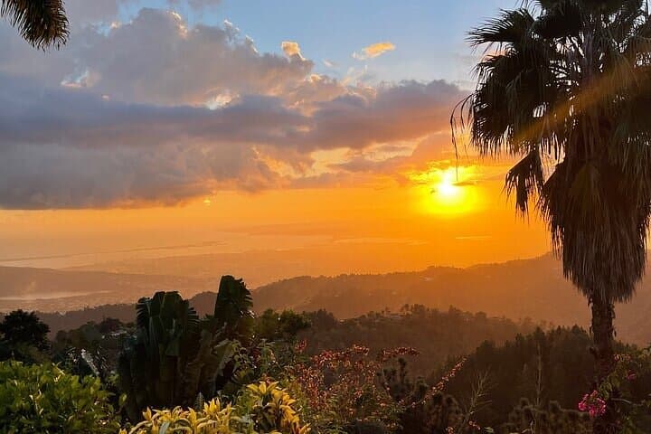 Blue Mountain Coffee, Bob Marley & Art Day Tour from Montego Bay photo 6