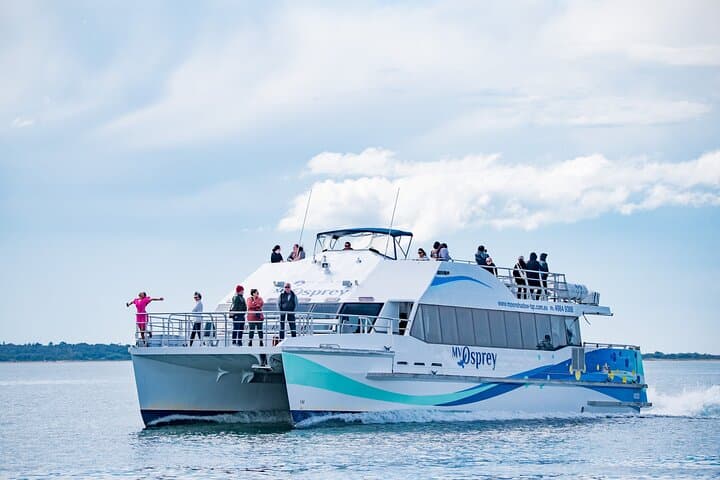Port Stephens Dolphin Watch: Eco Cruise Aboard the MV Osprey