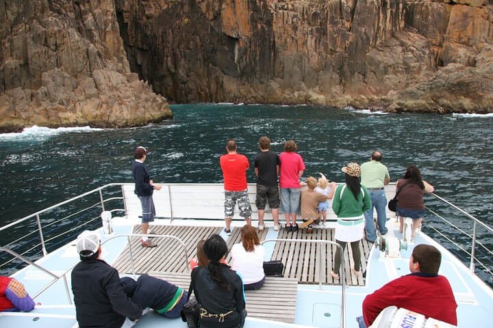 Port Stephens Dolphin Watch: Eco Cruise Aboard the MV Osprey photo 3