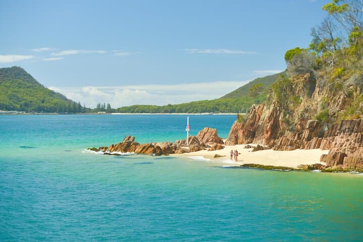 Port Stephens Dolphin Watch: Eco Cruise Aboard the MV Osprey photo 5